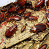 Termite Control Services in Coimbatore