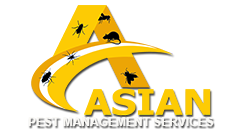 Pest Control Services in Trichy